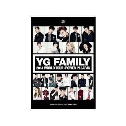 YG FAMILY 2014 WORLD TOUR:POWER IN JAPAN [DVD]