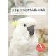 大きなインコとオウム飼いになる―育て方や食事、グッズ、コミュニケーションまで [単行本]