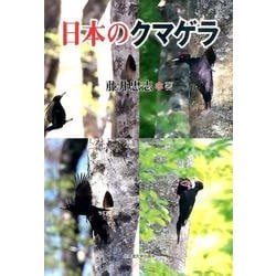 日本のクマゲラ [単行本]