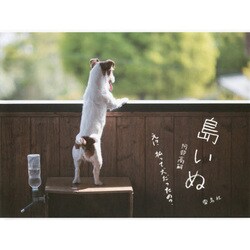 島いぬ―え!?私って犬だったの? [単行本]