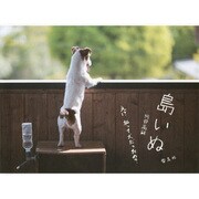 島いぬ―え!?私って犬だったの? [単行本]