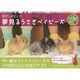 抱きしめたい!夢見るうさぎベイビーズ [単行本]