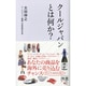 クールジャパンとは何か?(ディスカヴァー携書) [新書]