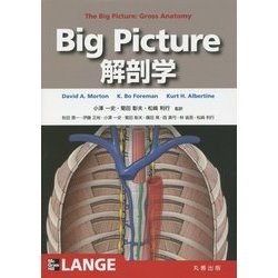 Big Picture解剖学 [単行本]