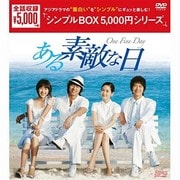 ある素敵な日 DVD-BOX