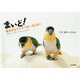 まいど!―気ままなインコくぴー&ぐぴー [単行本]