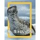 海に生きるいのち―ナショナルジオグラフィック傑作写真ワイルドライフ [単行本]
