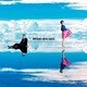 Do As Infinity／BRAND NEW DAYS