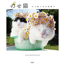 のせ猫 かご猫シロの里便り [単行本]