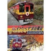 わたらせ渓谷鐵道トロッコわっしー号運転席展望 [DVD]