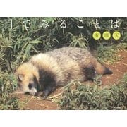目でみることば 有頂天 [単行本]