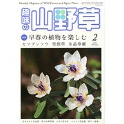 趣味の山野草 2015年 02月号 [雑誌]