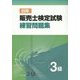 日商販売士検定試験練習問題集3級 [単行本]