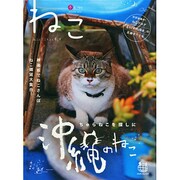 ねこ 2015年 02月号 [雑誌]