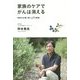 家族のケアでがんは消える―患者を生還に導く48の智恵 [単行本]