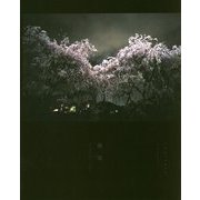 夜気 [単行本]