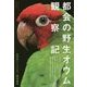都会の野生オウム観察記―お見合い・リハビリ・個体識別 [単行本]