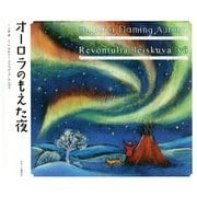 オーロラのもえた夜 [絵本]