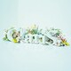 ClariS／ClariS ～SINGLE BEST 1st～