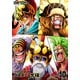 ONE PIECE ワンピース 17THシーズン ドレスローザ編 PIECE.10 [DVD]