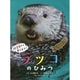 飼育員さんおしえて!ラッコのひみつ [絵本]