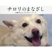 チロリのまなざし―奇跡をおこすセラピードッグ [絵本]