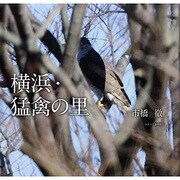 横浜・猛禽の里 [単行本]