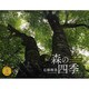 森の四季 2012[カレンダー]（Yama-Kei Calendar） [カレンダー]