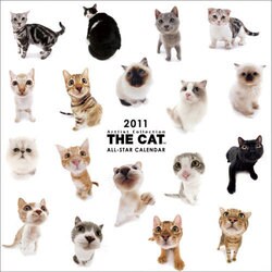 CL902 THE CAT ALL STARカレンダー [カレンダー]