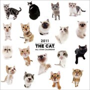 CL902 THE CAT ALL STARカレンダー [カレンダー]
