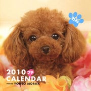 プチわんCALENDAR 2010 [カレンダー]
