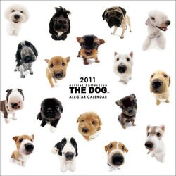 CL901 THE DOG ALL STARカレンダー [カレンダー]