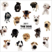 CL901 THE DOG ALL STARカレンダー [カレンダー]