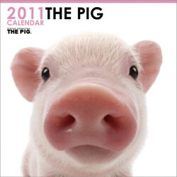 CL903 THE PIGカレンダー 2011 [カレンダー]