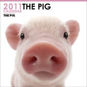 CL903 THE PIGカレンダー 2011 [カレンダー]