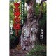 日本の零魚成度・陀・敏智(レオナルドダヴィンチ) 空海の謎!その教えとは [単行本]
