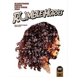 斉藤和義／KAZUYOSHI SAITO LIVE TOUR 2014 RUMBLE HORSES Live at ZEPP TOKYO 2014.12.12 [DVD]
