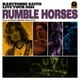 斉藤和義／KAZUYOSHI SAITO LIVE TOUR 2014 RUMBLE HORSES Live at ZEPP TOKYO 2014.12.12