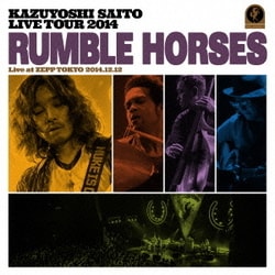 斉藤和義／KAZUYOSHI SAITO LIVE TOUR 2014 RUMBLE HORSES Live at ZEPP TOKYO 2014.12.12
