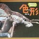 栗林さんの虫めがね〈4〉色形(栗林慧の昆虫写真絵本シリーズ) [絵本]