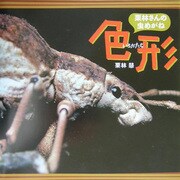 栗林さんの虫めがね〈4〉色形(栗林慧の昆虫写真絵本シリーズ) [絵本]