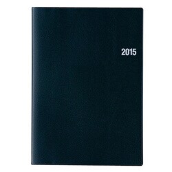 9602 [2015年4月始まり NOLTY(ノルティ) 能率手帳A5 黒]