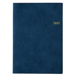 9621 [2015年4月始まり NOLTY(ノルティ) メモリー3 ブルー]