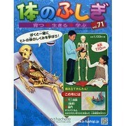 改訂版体のふしぎ 2015年 2/18号（71） [雑誌]