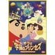 映画 クレヨンしんちゃん 嵐を呼ぶ!オラと宇宙のプリンセス [DVD]