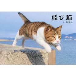 飛び猫 [単行本]