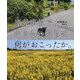 原発事故で、生きものたちに何がおこったか。 [単行本]