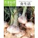 食生活 2015年 04月号 [雑誌]