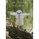 世界一カワイイひな鳥、美しい親子鳥―Cute Chicks,Beautiful Birds [単行本]