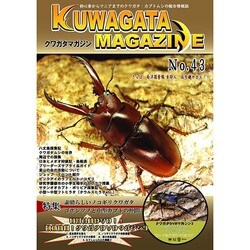 くわがたマガジン NO.43 [ムックその他]